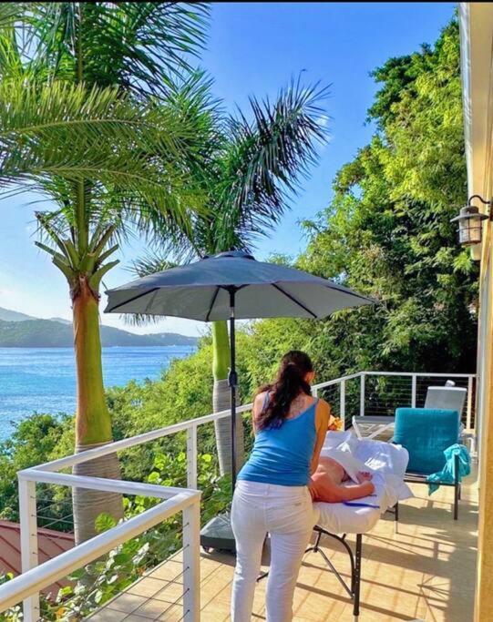 Sailfish Villa Luxury Beachfront Estate Magens Bay Cruz Bay Eksteriør billede